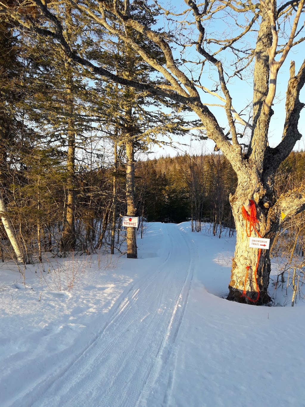 Mark Arendz Provincial Ski Park at Brookvale Nordic | 1800 PE-13, North Wiltshire, PE C0A 1Y0, Canada | Phone: (902) 658-7862