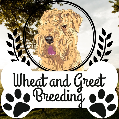 Wheat and Greet Breeding | 7920 BC-97A, Mara, BC V0E 2K0, Canada | Phone: (250) 253-5459