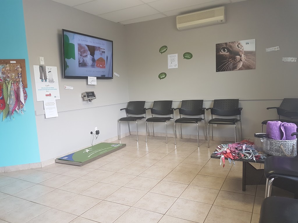 Clinique vétérinaire Dr Karina Paradis | 772 Bd Barrette, Chicoutimi, QC G7J 3Z5, Canada | Phone: (418) 690-0064