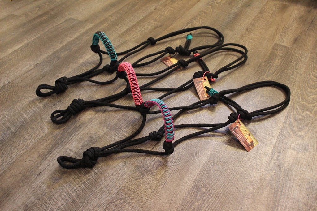 Fired Up Performance Horses | 340068 AB-805, Wimborne, AB T0M 2G0, Canada | Phone: (403) 506-7037