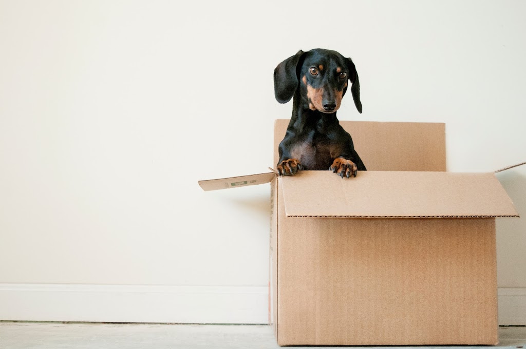 Mover Boy | 5804 Sherbrooke St, Vancouver, BC V5W 3M9, Canada | Phone: (778) 513-1108