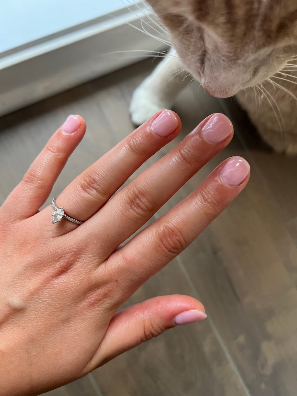 Pro-Ongles | 338 Rue Principale, Granby, QC J2G 2W4, Canada | Phone: (450) 375-9852