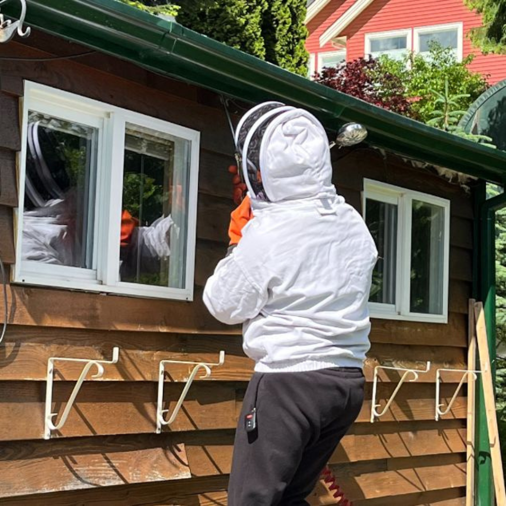 Seaside Pest Control Inc. | 8203 Foxfern Rd, Chilliwack, BC V2R 6G6, Canada | Phone: (604) 529-7700