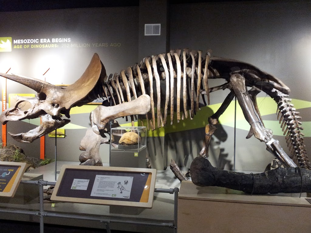 Buffalo Museum of Science | 1020 Humboldt Pkwy, Buffalo, NY 14211, USA | Phone: (716) 896-5200