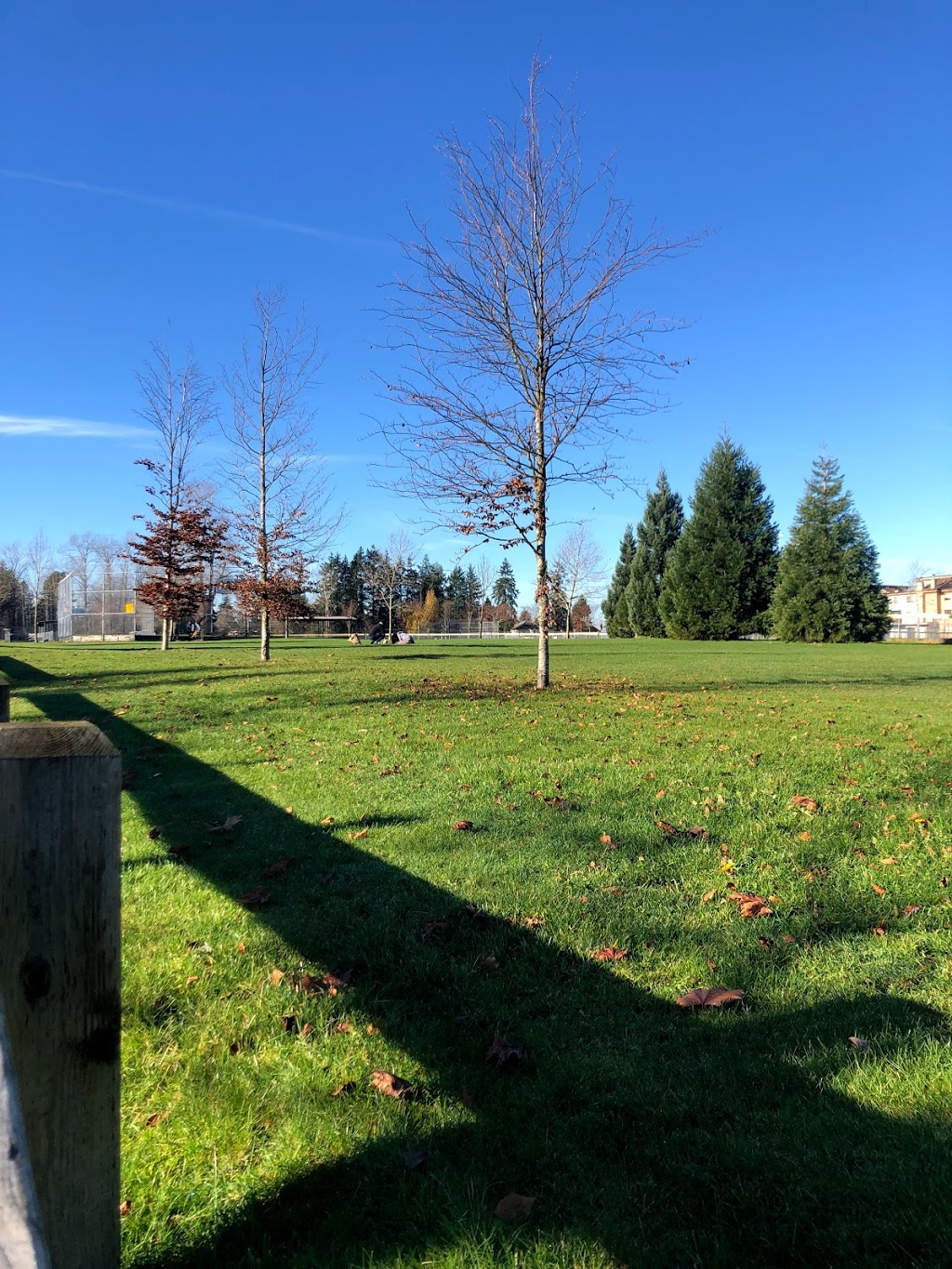 Unwin Park | 13313 68 Ave, Surrey, BC V3W 2E8, Canada | Phone: (604) 501-5050