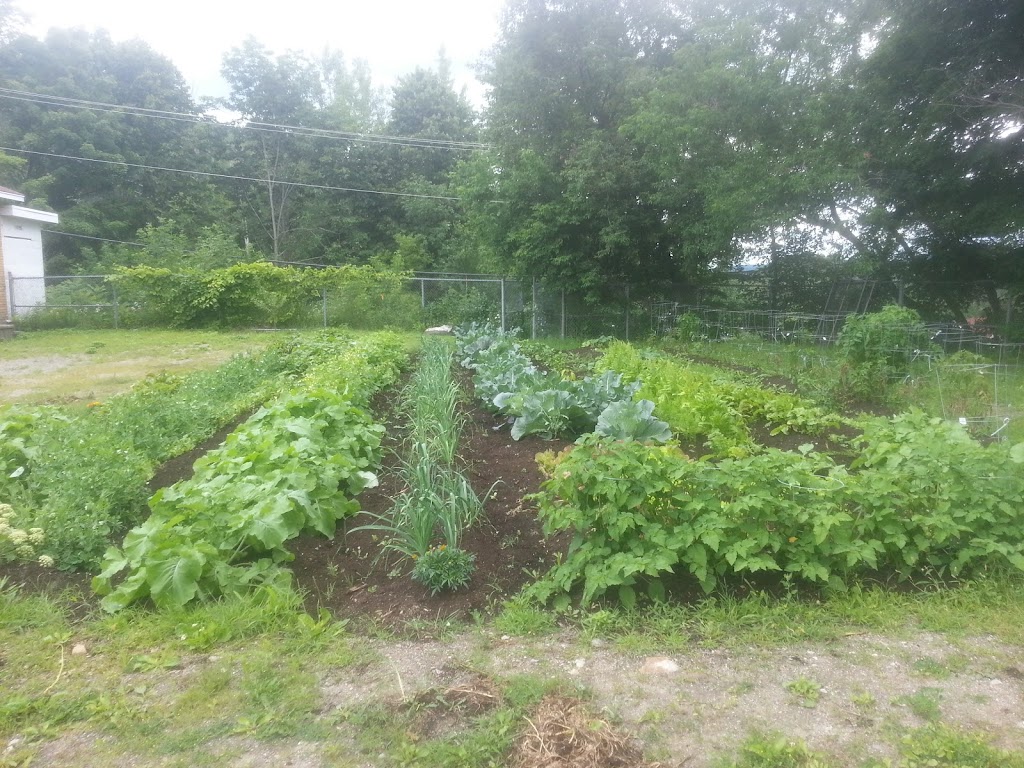 Grenier Des Collines (Le) | 34 Chem. de lÉglise, Val-des-Monts, QC J8N 2A1, Canada | Phone: (819) 457-1010