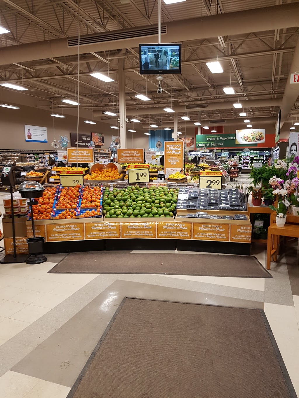 Sobeys Pharmacy Elmwood Drive | 77 Filles de Jesus Ave, Moncton, NB E1A 9G6, Canada | Phone: (506) 855-6925