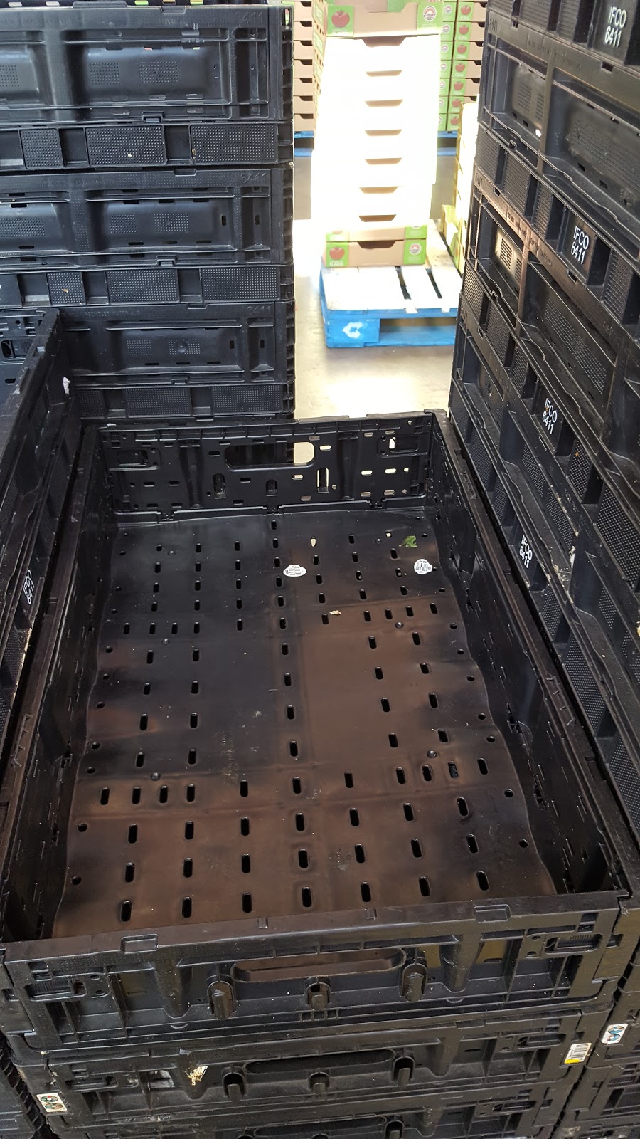 Mastron Enterprises Ltd | 2633 Albuna Townline, Ruthven, ON N0P 2G0, Canada | Phone: (519) 322-2069