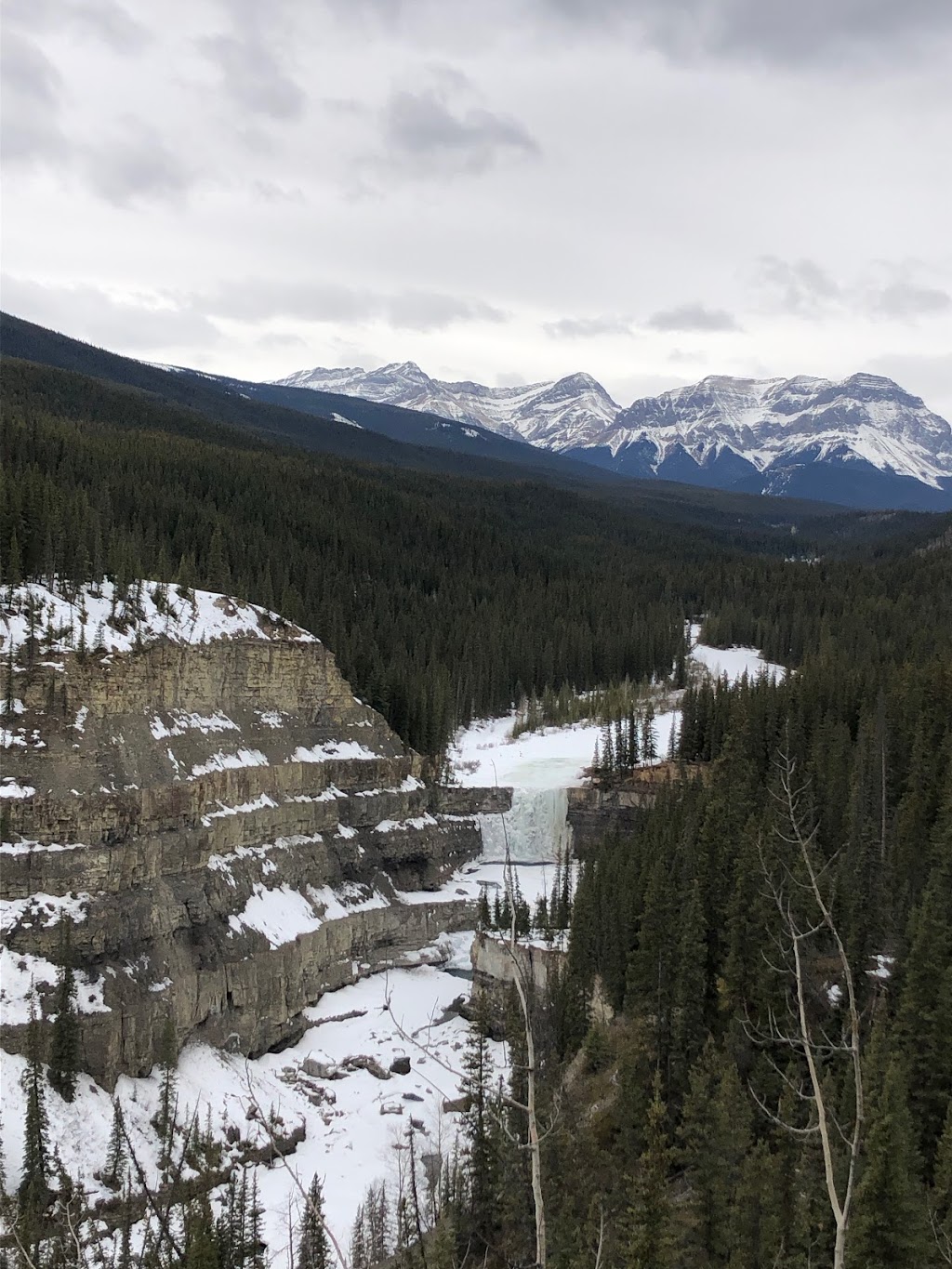 Crescent Falls Provincial Recreation Area | Clearwater County, AB T0M 2H0, Canada | Phone: (855) 721-3975