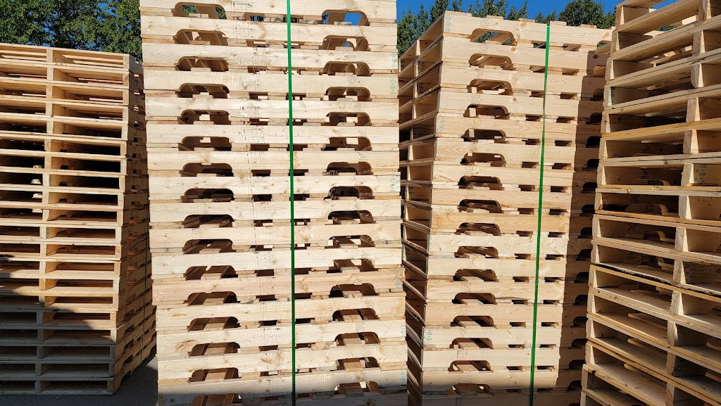 A 2 Z Pallets Ltd | 10610 Span Rd, Surrey, BC V3V 8A1, Canada | Phone: (604) 825-7187