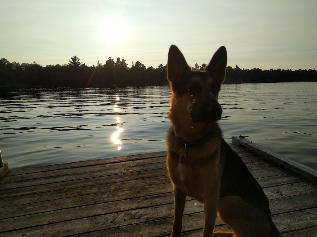 Sportsmans Tent & Trailer Park | Alban, ON P0M 1A0, Canada | Phone: (705) 857-0461