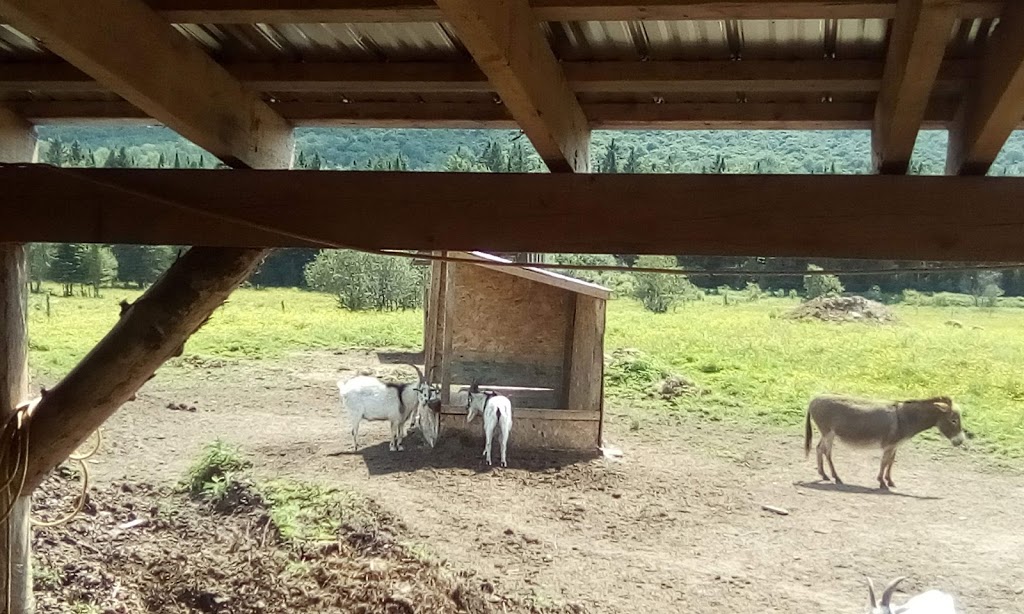 Ferme Dada Do | 60 Chemin Boisvert, Danville, QC J0A 1A0, Canada | Phone: (514) 972-1878