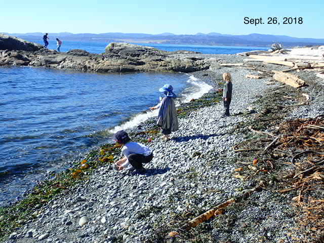 Sylvia Street Playschool | 350 Sylvia St, Victoria, BC V8V 1C6, Canada | Phone: (250) 388-5910