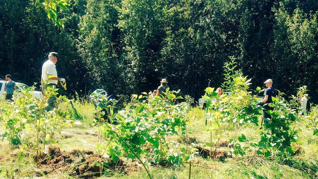 MacKinnon Food Forest | River Valley Capitol Hill, Edmonton, AB T5N 3M7, Canada