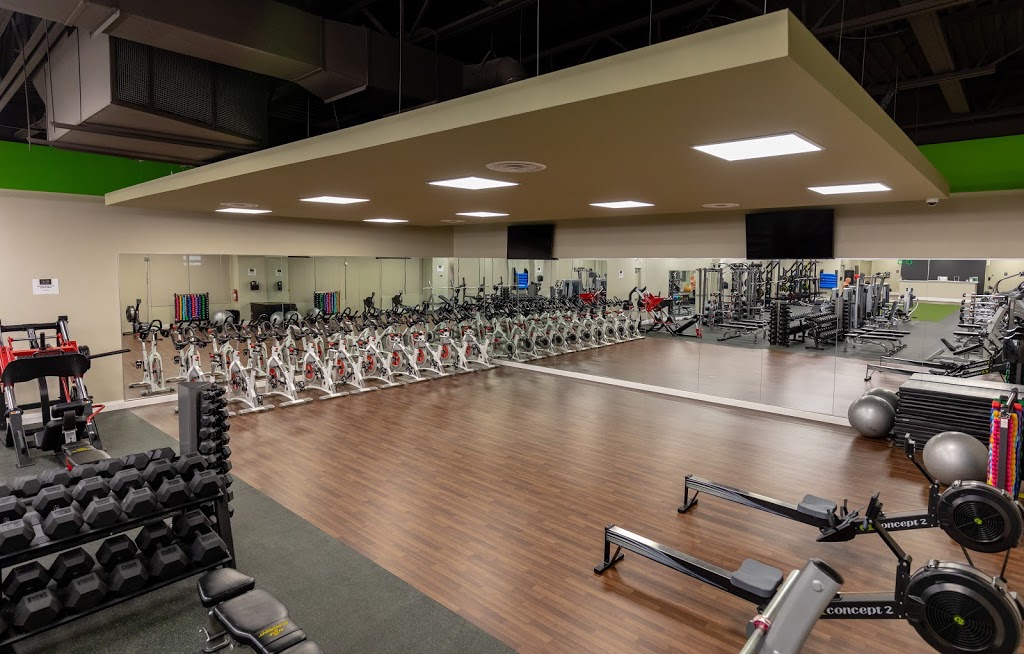 Club Eighty 8 - Health & Fitness | 652 River Rd, Welland, ON L3B 5N6, Canada | Phone: (905) 788-9588