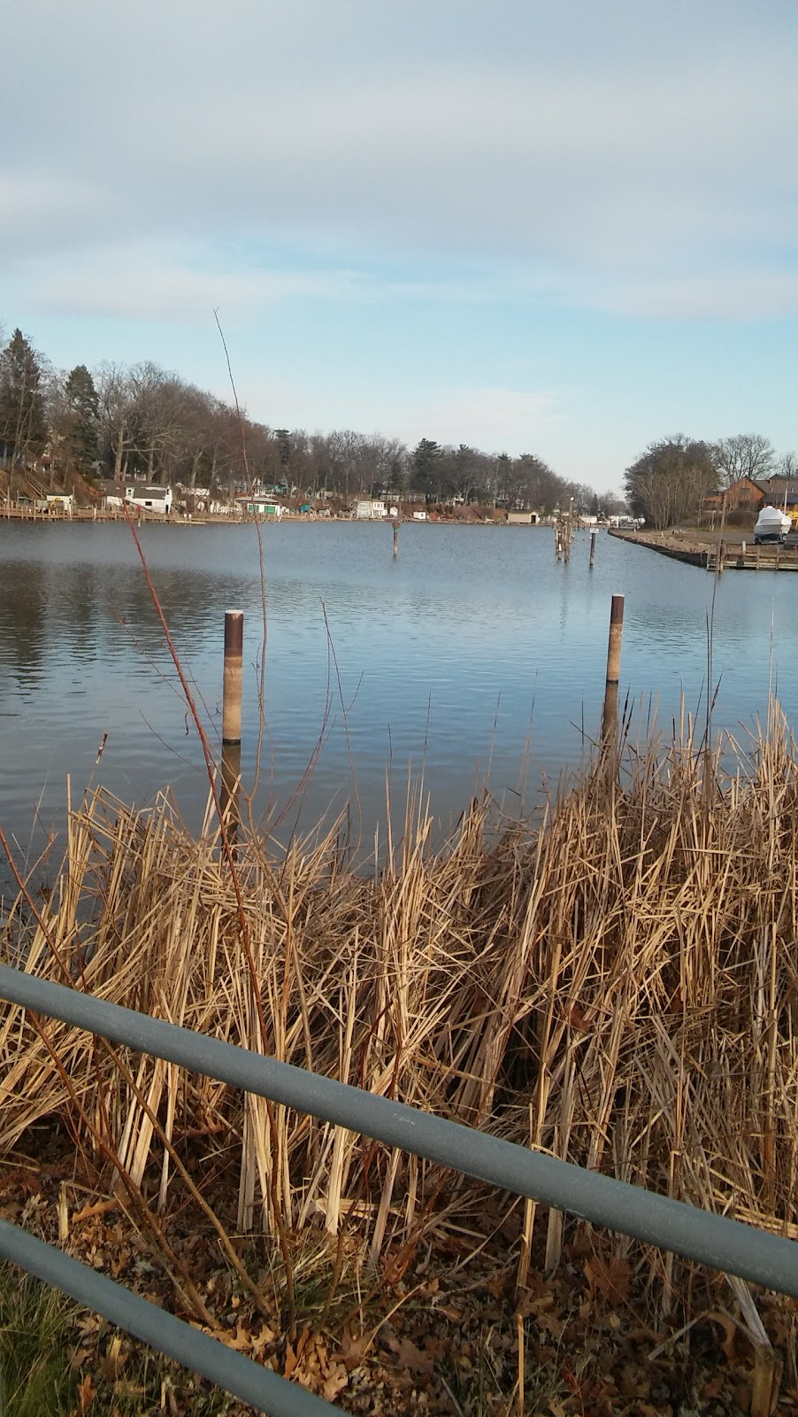 Bootleggers Cove Marina | OConnell Island, Wilson, NY 14172, USA | Phone: (716) 751-6466