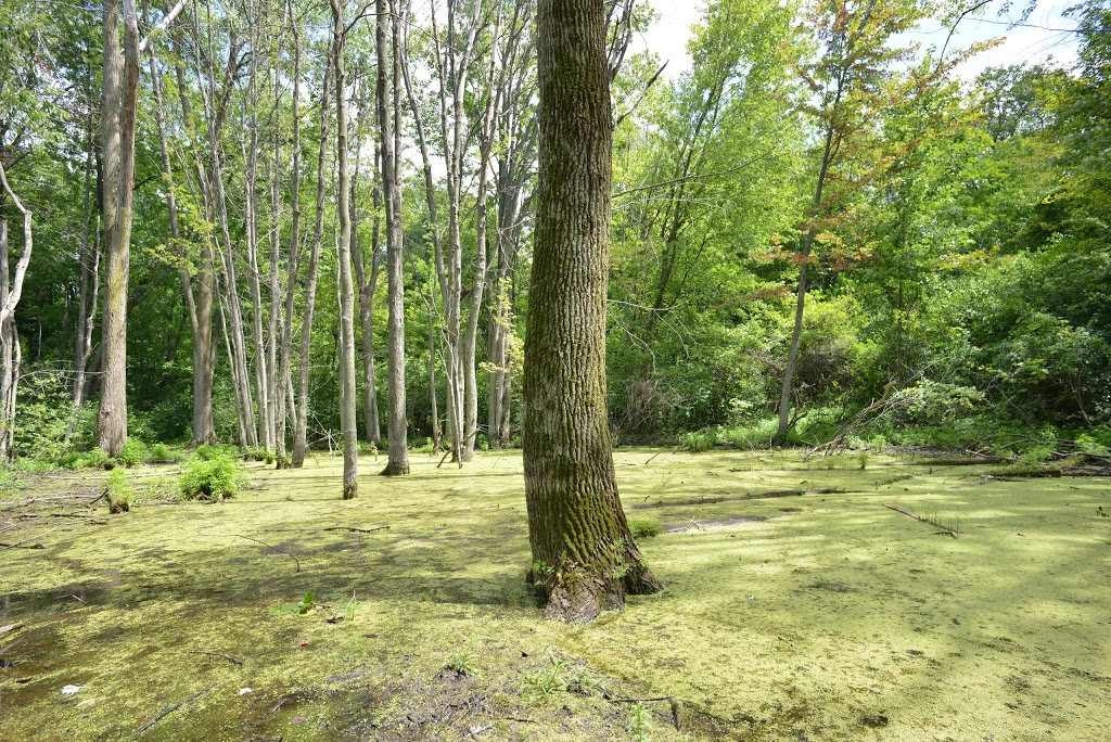 Westminster Ponds | 696 Wellington Rd, London, ON N6C 4R2, Canada | Phone: (519) 451-2800