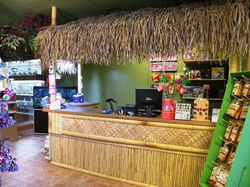 Oasis Animale | 192 QC-138, Donnacona, QC G3M 1C2, Canada | Phone: (418) 285-2356