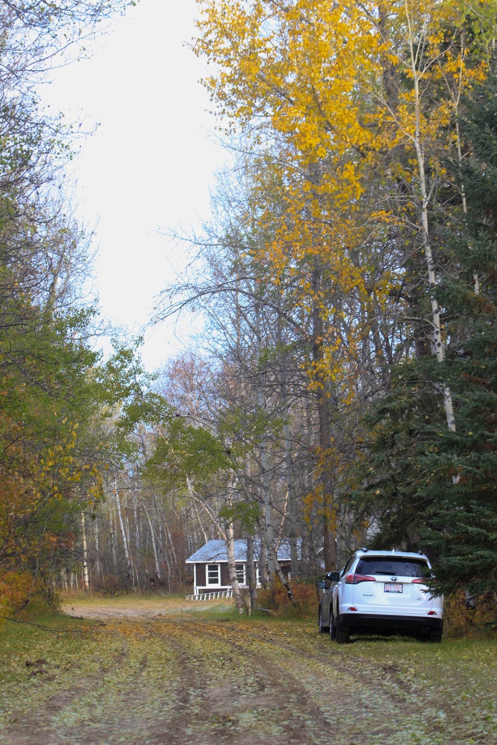 Alberta Insight Meditation Centre | 26302 Township Rd 514, Spruce Grove, AB T7Y 1C8, Canada | Phone: (780) 641-9795