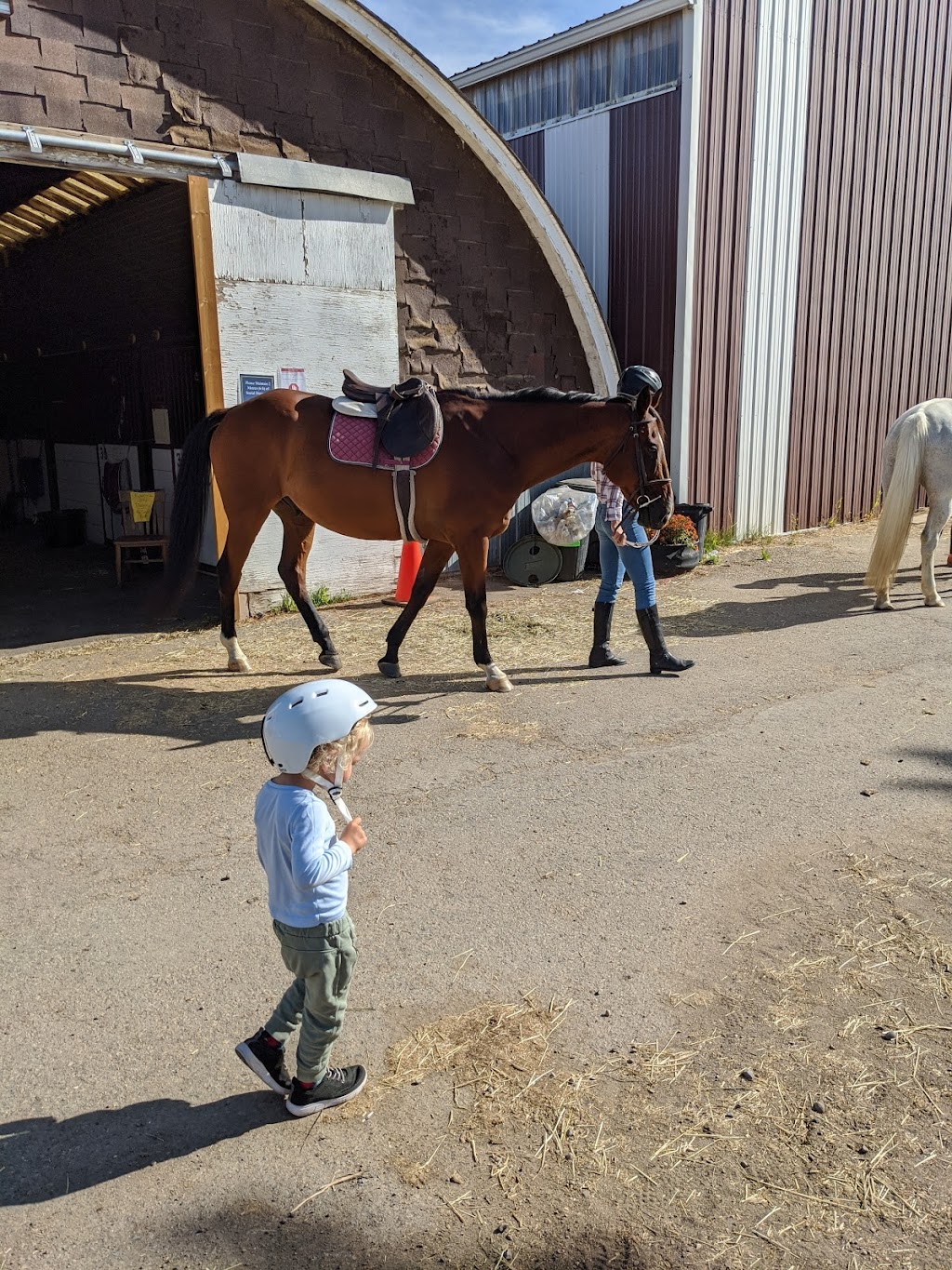 Paramount Equestrian Centre | Deerview Dr, De Winton, AB T0L 0X0, Canada | Phone: (403) 938-3671