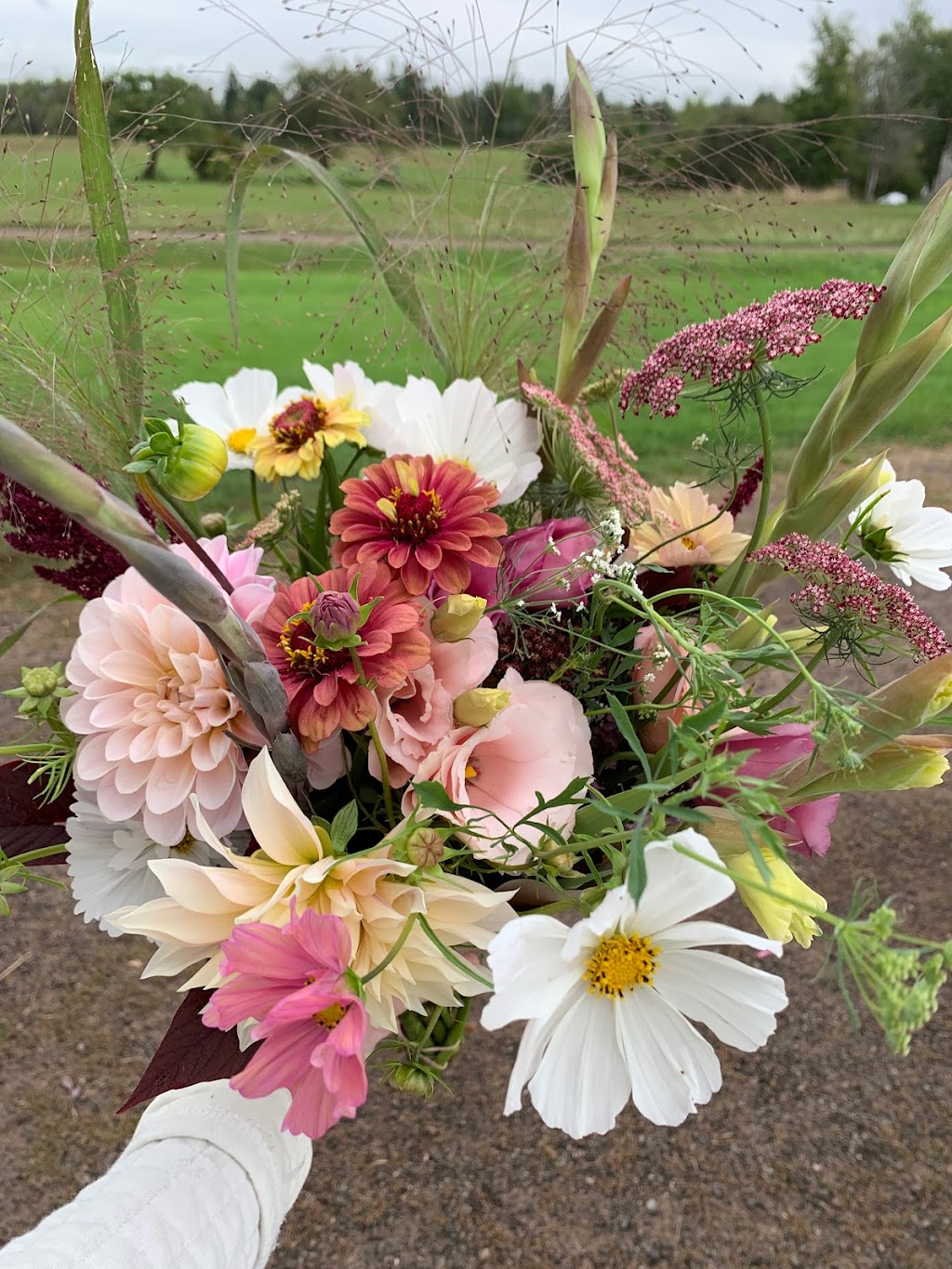 Two Blooms Flower Farm | 31 Gary Rd, Steeves Mountain, NB E1G 0S9, Canada | Phone: (506) 380-1170