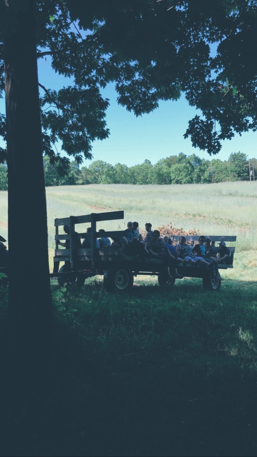 Woodland Weddings | 1821 Effingham St, Ridgeville, ON L0S 1M0, Canada | Phone: (289) 669-0211