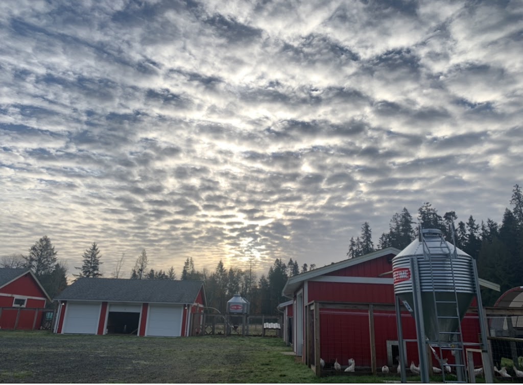 Blue Moon Acres | 1000 Gold Road, Qualicum Beach, BC V9K 2G6, Canada | Phone: (604) 655-5514