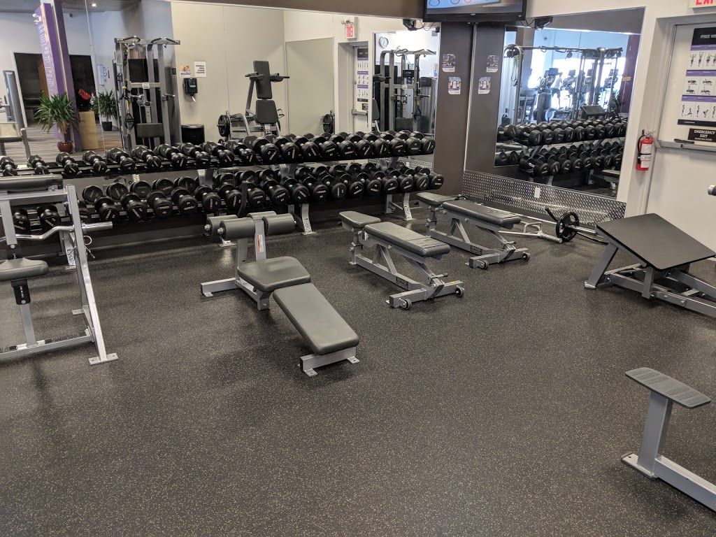 Anytime Fitness | 30 Queensland Rd, Stratford, ON N4Z 1H4, Canada | Phone: (519) 305-3300