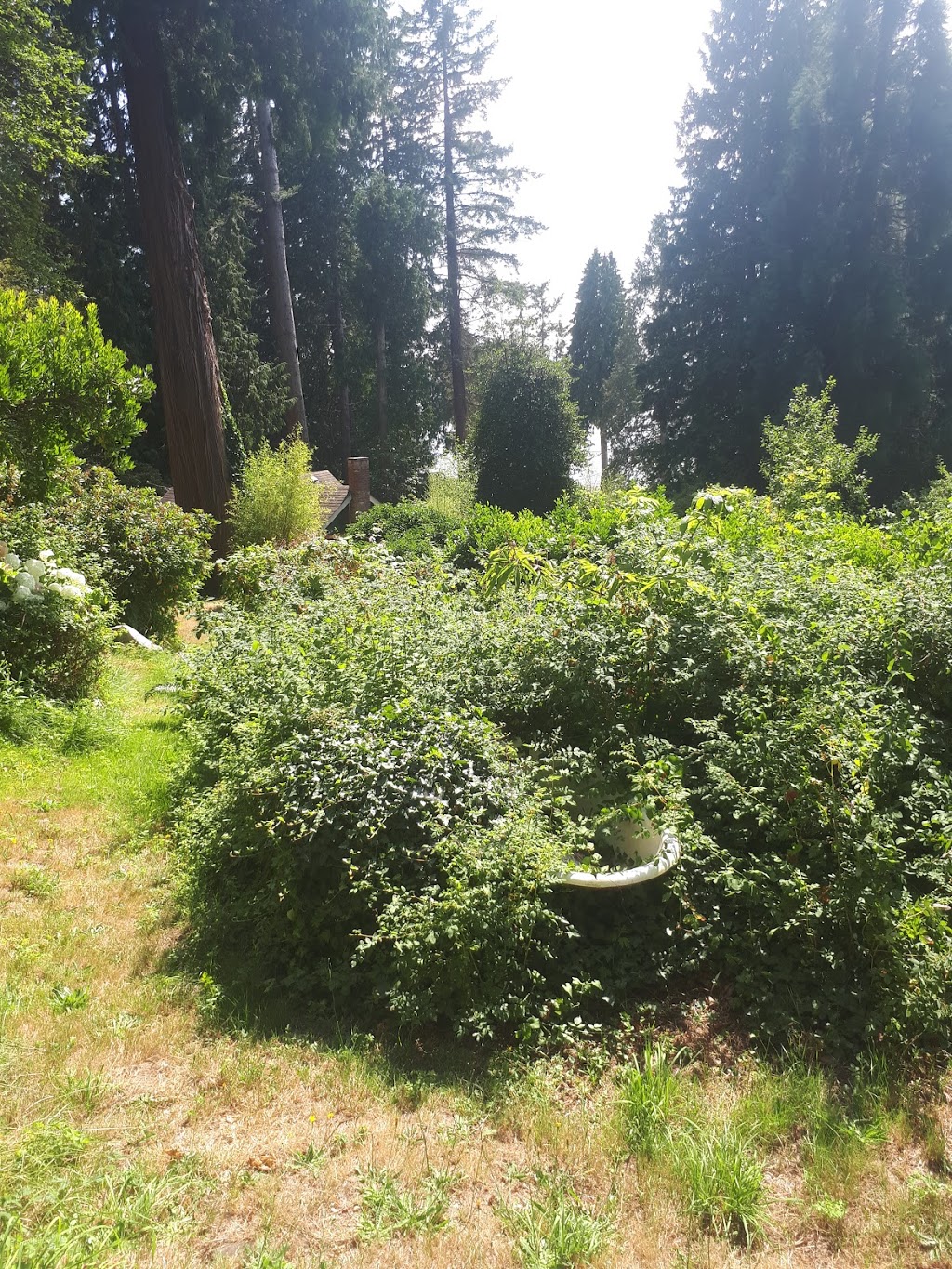 Gower Point Guest House | 1656 Gower Point Rd, Gibsons, BC V0N 1V5, Canada | Phone: (604) 886-4540
