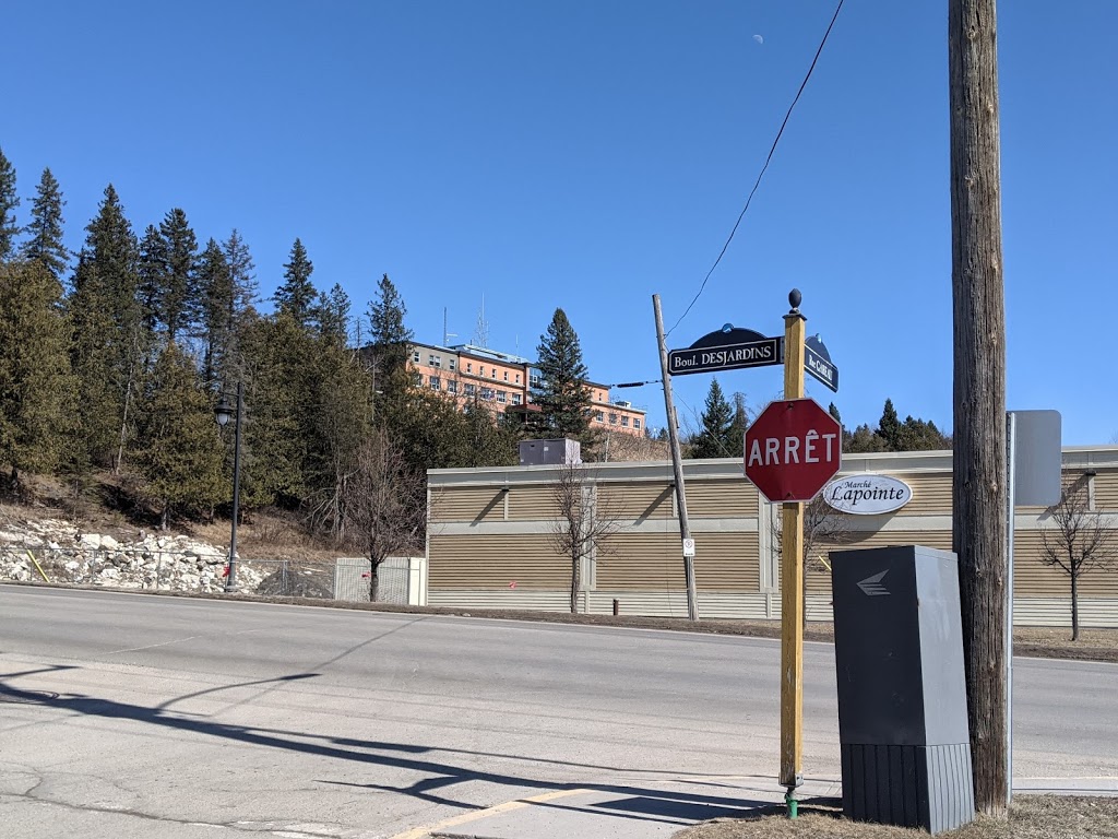 Hôpital de Maniwaki | 309 Boulevard Desjardins, Maniwaki, QC J9E 2E7, Canada | Phone: (819) 449-4690