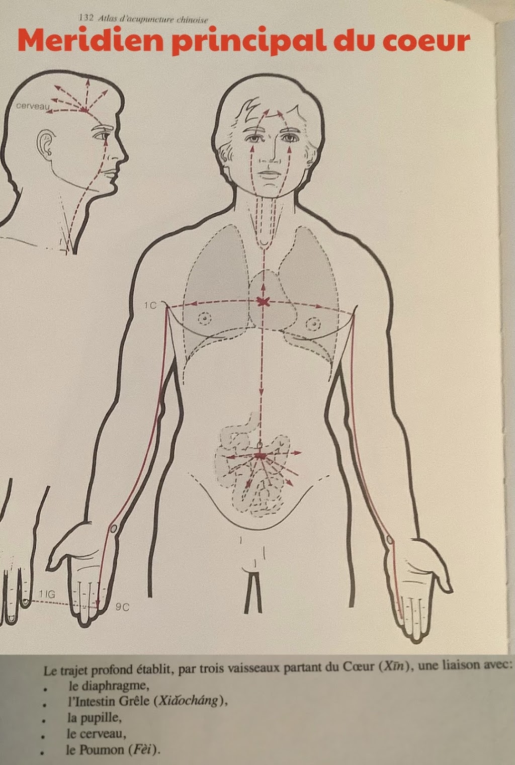 Acupuncture Mont-Saint-Hilaire | 2451 4e Rang S, Mont-Saint-Hilaire, QC J0H 2G0, Canada | Phone: (514) 970-6977