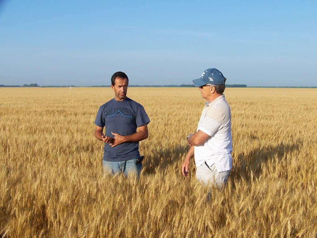 Canadian Agronomics Inc. | 11 Isoboard Road, Elie, MB R0H 0H0, Canada | Phone: (204) 370-8009