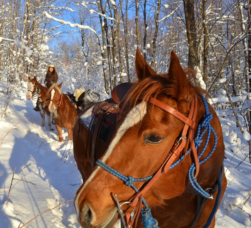 Ranch Mont-Tremblant | 710 Chemin de Val-des-Lacs, Val-des-Lacs, QC J0T 2P0, Canada | Phone: (438) 808-7143