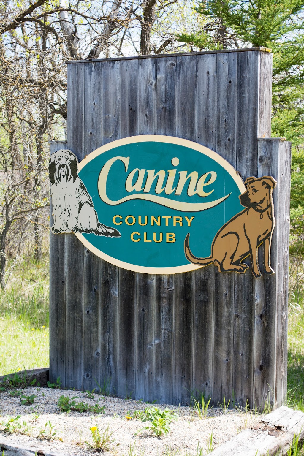 canine-country-club-59133-pleasant-rd-38e-anola-mb-r0e-0a0-canada