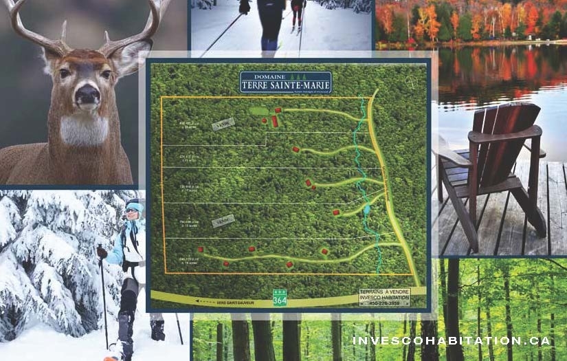 Invesco Habitation | 2550 Chem. Jean-Adam, Saint-Sauveur, QC J0R 1R7, Canada | Phone: (450) 226-3959