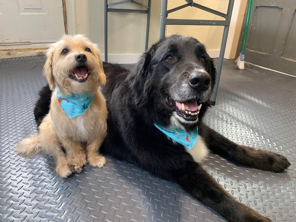 Halte Toilettage | 286 QC-133, Pike River, QC J0J 1P0, Canada | Phone: (514) 895-8538