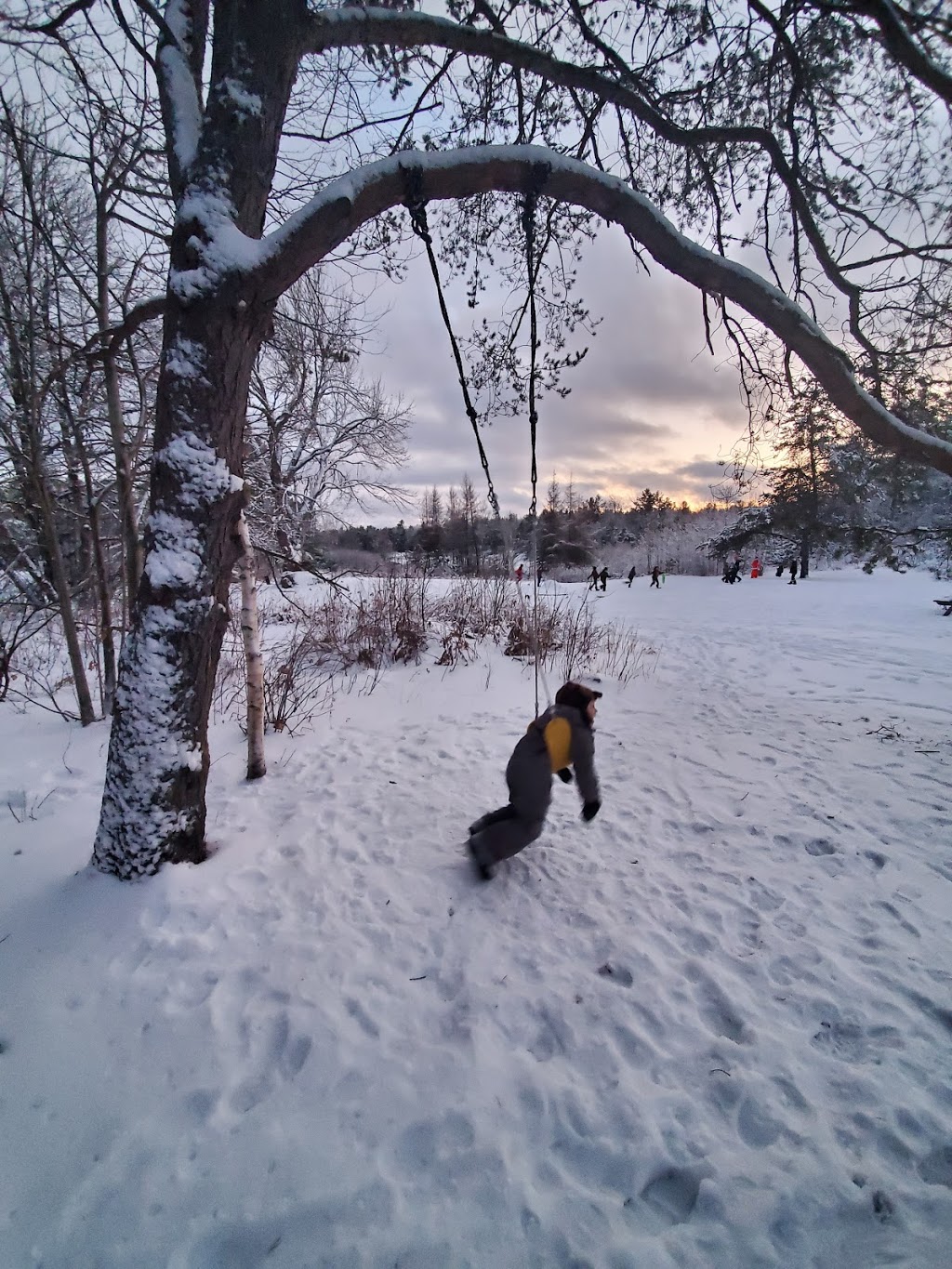 Great Moose Adventures | 1368 Houseys Rapids Rd, Gravenhurst, ON P1P 1R3, Canada | Phone: (705) 687-3903