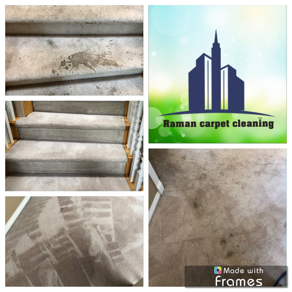 Raman carpet cleaning | 1451 El Camino Dr, Coquitlam, BC V3E 3C1, Canada | Phone: (604) 600-6650