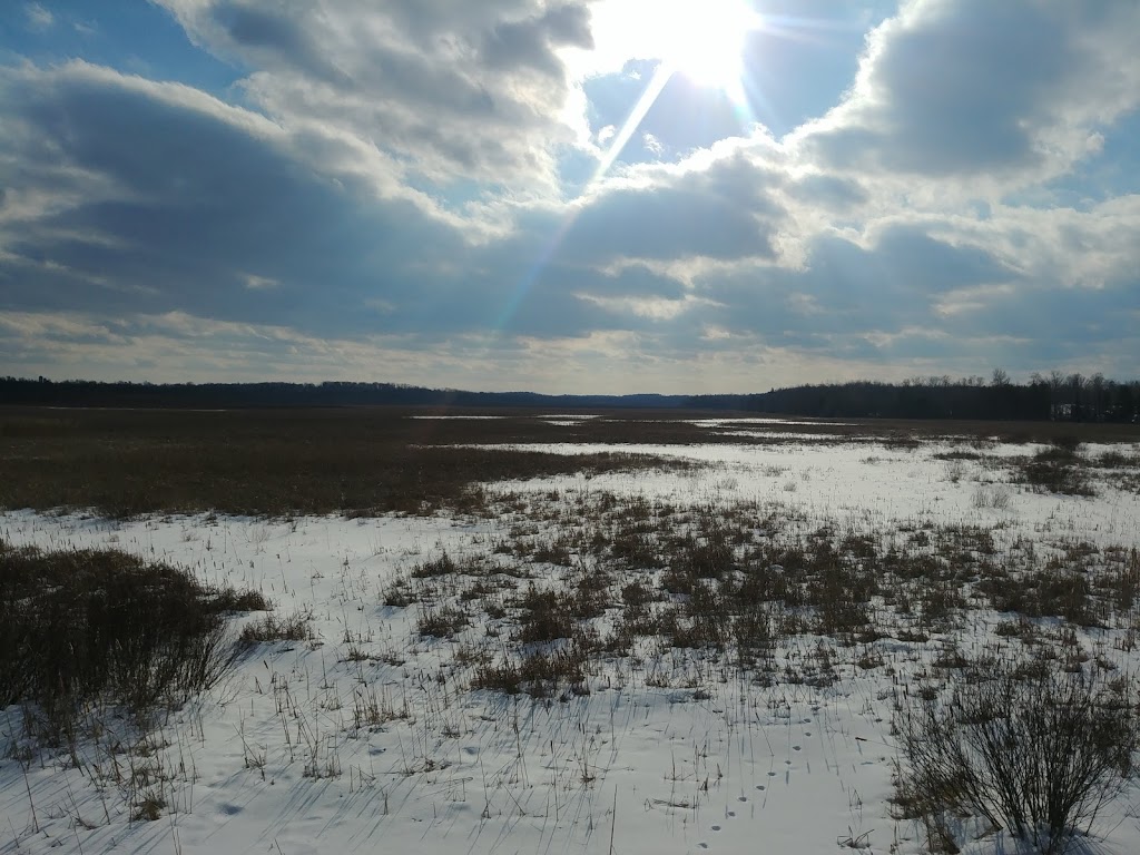 Miller Creek Wildlife Area | 1150 7 Line, Bridgenorth, ON K0L 1H0, Canada | Phone: (705) 745-5791