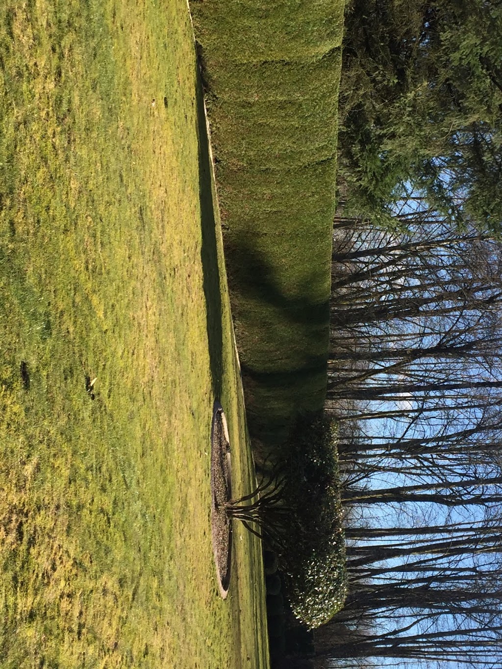 Greenyard Gardening Svc | 15055 94 Ave, Surrey, BC V3R 7L9, Canada | Phone: (604) 582-9513
