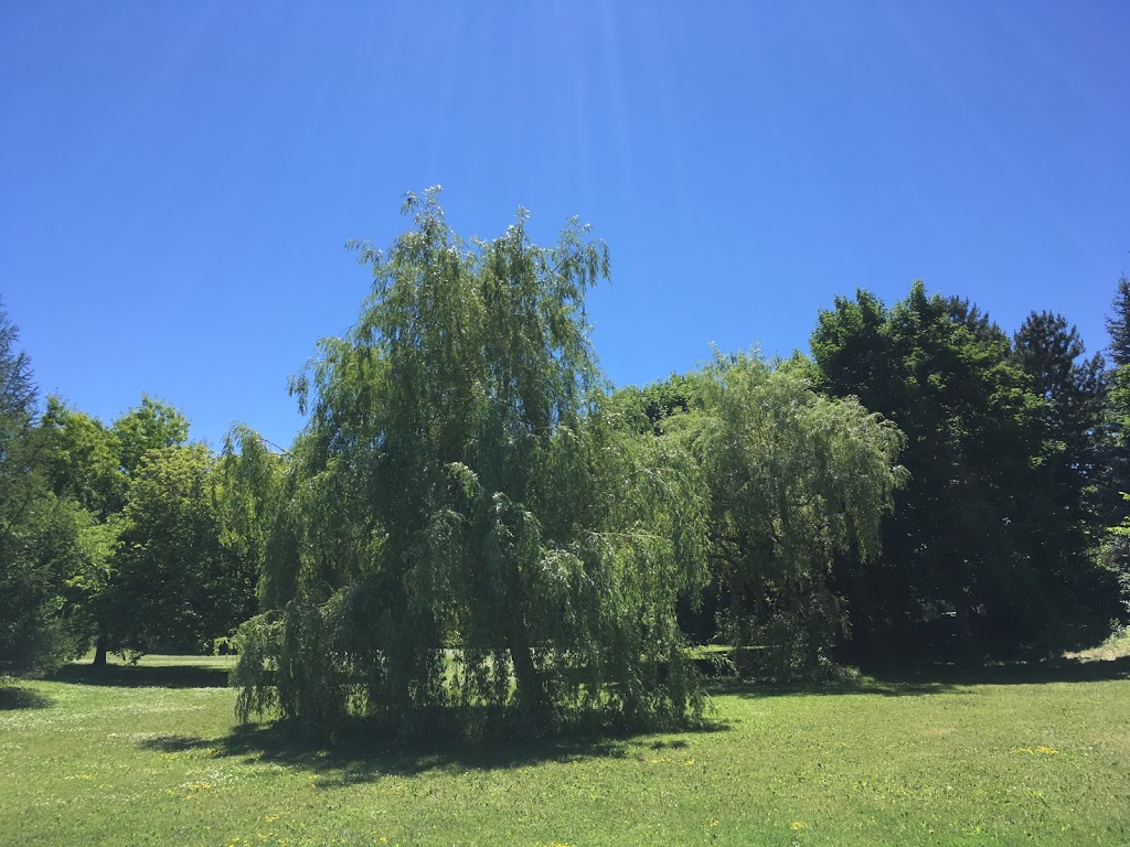 Ada MacKenzie Park | 46 Strathearn Ave, Richmond Hill, ON L4B 2G3, Canada