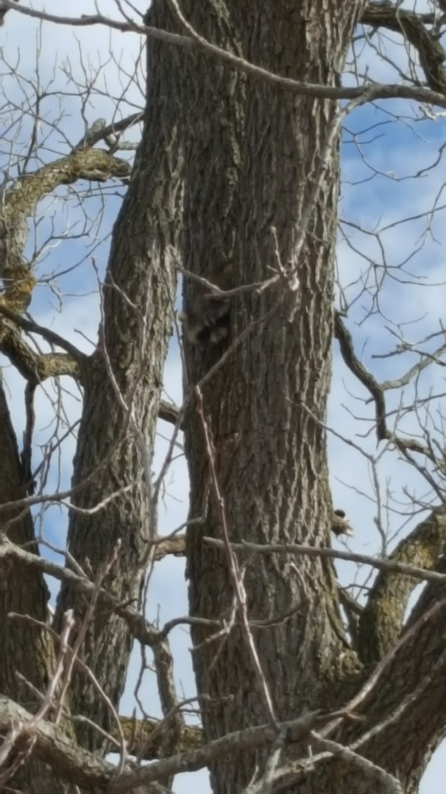 Eagle Point Wildlife Management Area | 2 Woodlawn Ave, Newport, VT 05855, USA