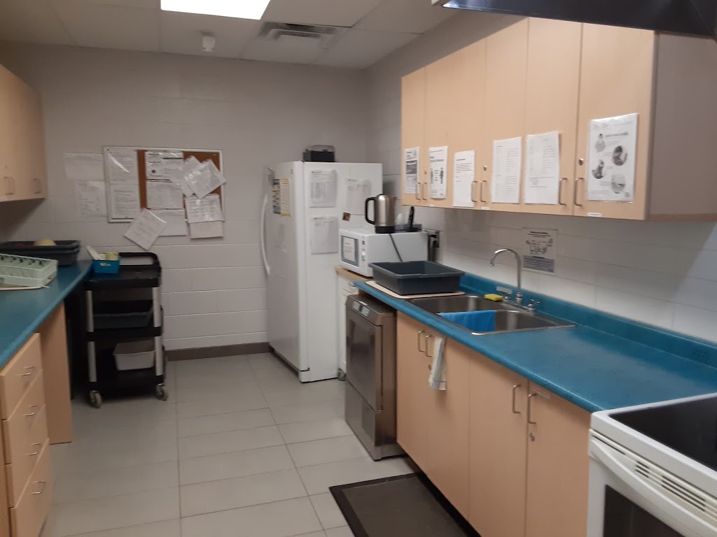 PLASP Early Learning and Child Care Centre - St. Raphael | 3470 Clara Dr, Mississauga, ON L4T 2C7, Canada | Phone: (905) 677-9494