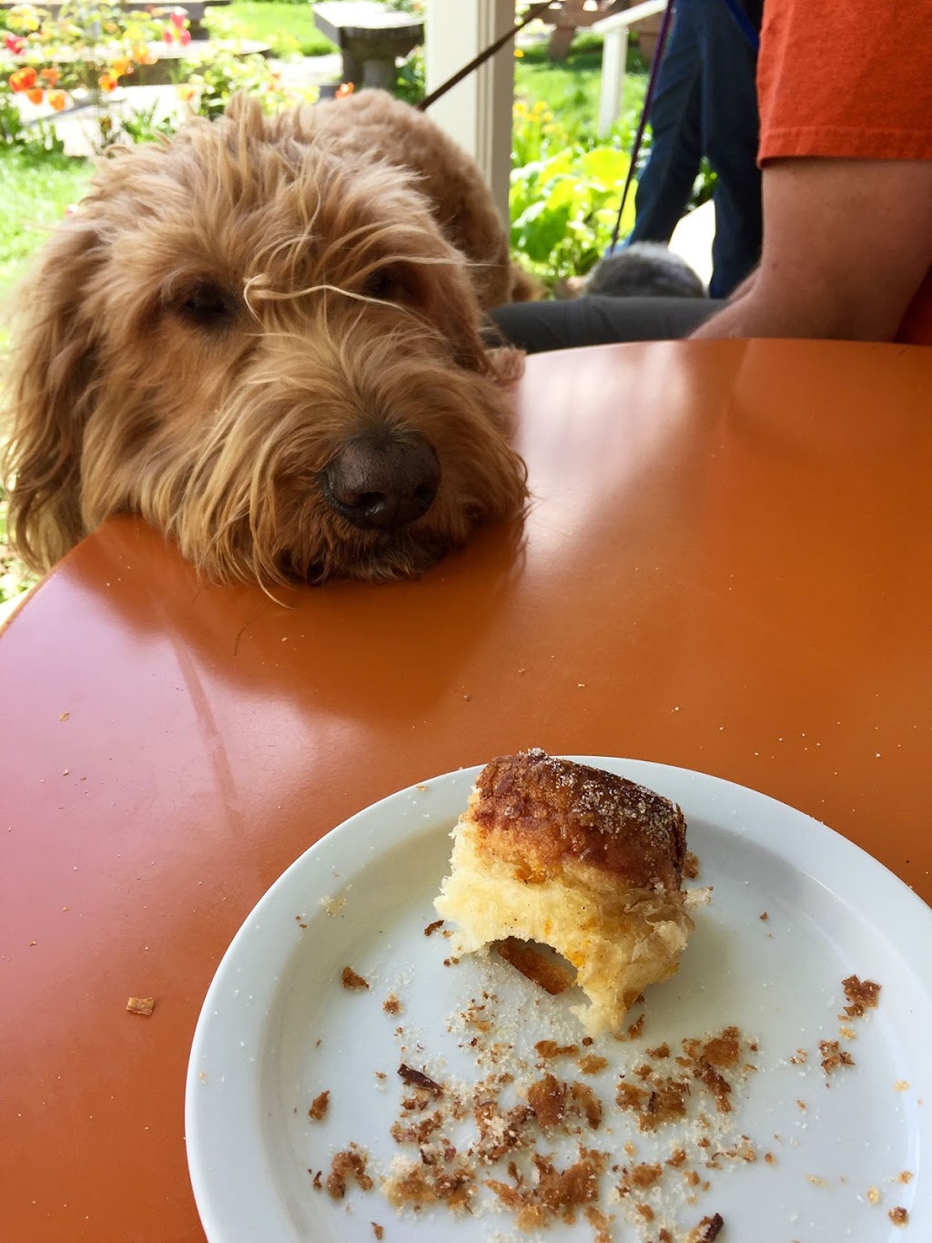 Brown Bear Baking | 29 N Beach Rd Suite 2051, Eastsound, WA 98245, USA | Phone: (360) 855-7456