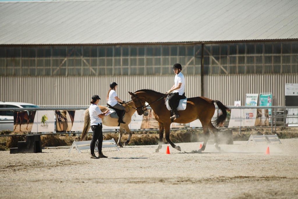 Pacific Banner Riding Club | 12400 No 3 Rd, Richmond, BC V7A 1X5, Canada | Phone: (604) 763-8869