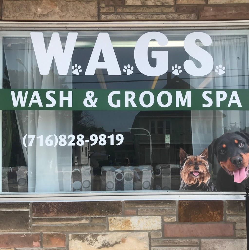 W.A.G.S. Wash & Groom Spa | 3056 South Park Ave, Lackawanna, NY 14218, USA | Phone: (716) 828-9819
