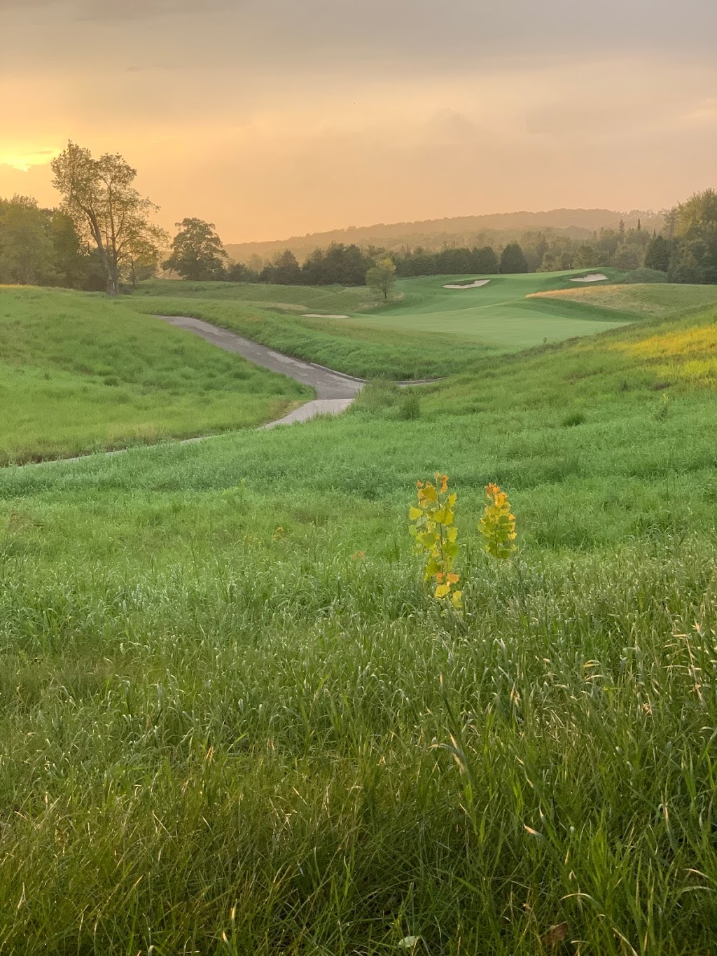 Coppinwood Golf Club | 2324 Concession Rd 4, Goodwood, ON L0C 1A0, Canada | Phone: (905) 649-2800
