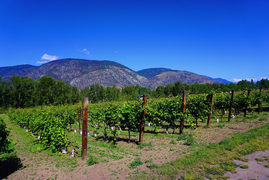 Similkameen WILD Resort Winery and Adventure Centre | 306 Sumac Rd, Cawston, BC V0X 1C3, Canada | Phone: (604) 807-5659