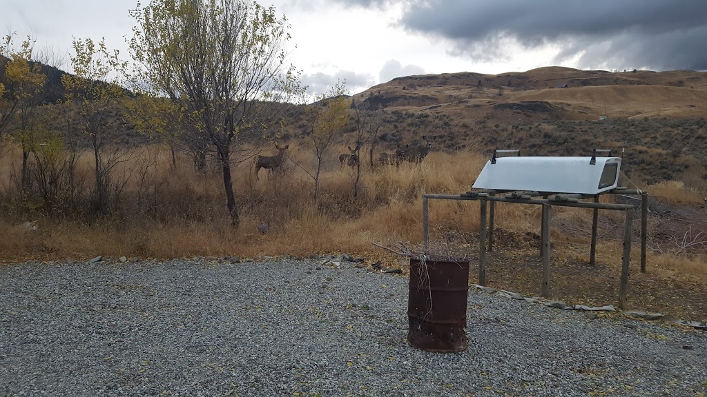 Faustino Estate Cidery | 14000 BC-97, Osoyoos, BC V0H 1V2, Canada | Phone: (250) 498-9907