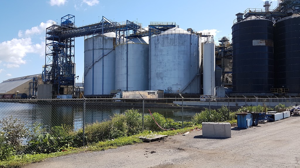 Bunge Canada | 515 Victoria Ave N, Hamilton, ON L8L, Canada | Phone: (905) 577-8080